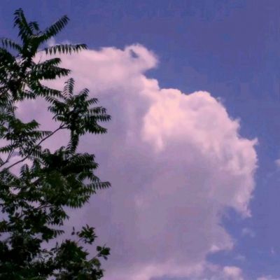 569vip威尼斯游戏